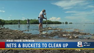 Manatee county enlisting public's help to clean red tide