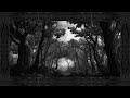 Zeruel - Return by Dawn (Official Visualizer)
