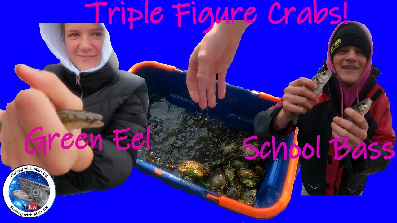 Crabbing and Fishing Mudeford Quay! YouTube
