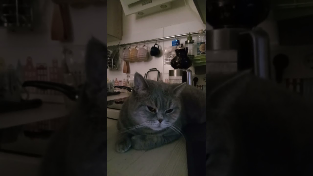 Просто терпи!