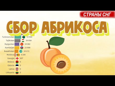 Сбор абрикоса - Сравнение стран бывшего СССР (СНГ)