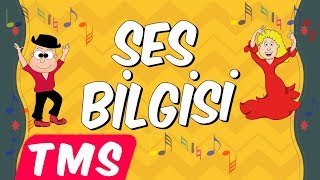 Ses Bilgisi Şarkısı🎵 Resimi