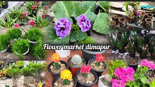 Weekly Flower Market Dimapur || Wednesday Supermarket Flowers Dimapur