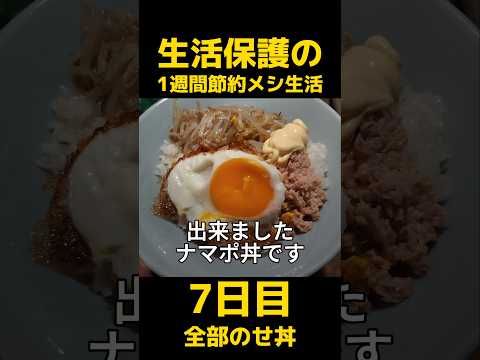 生活保護の1週間節約メシ生活 7日目　#丼 #生活保護 #生活保护 #料理 #welfareのサムネイル