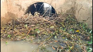 Unclogged Culvert Drain - Removal Debris Clogged Culvert Drain Water To Farm In The Dry Season