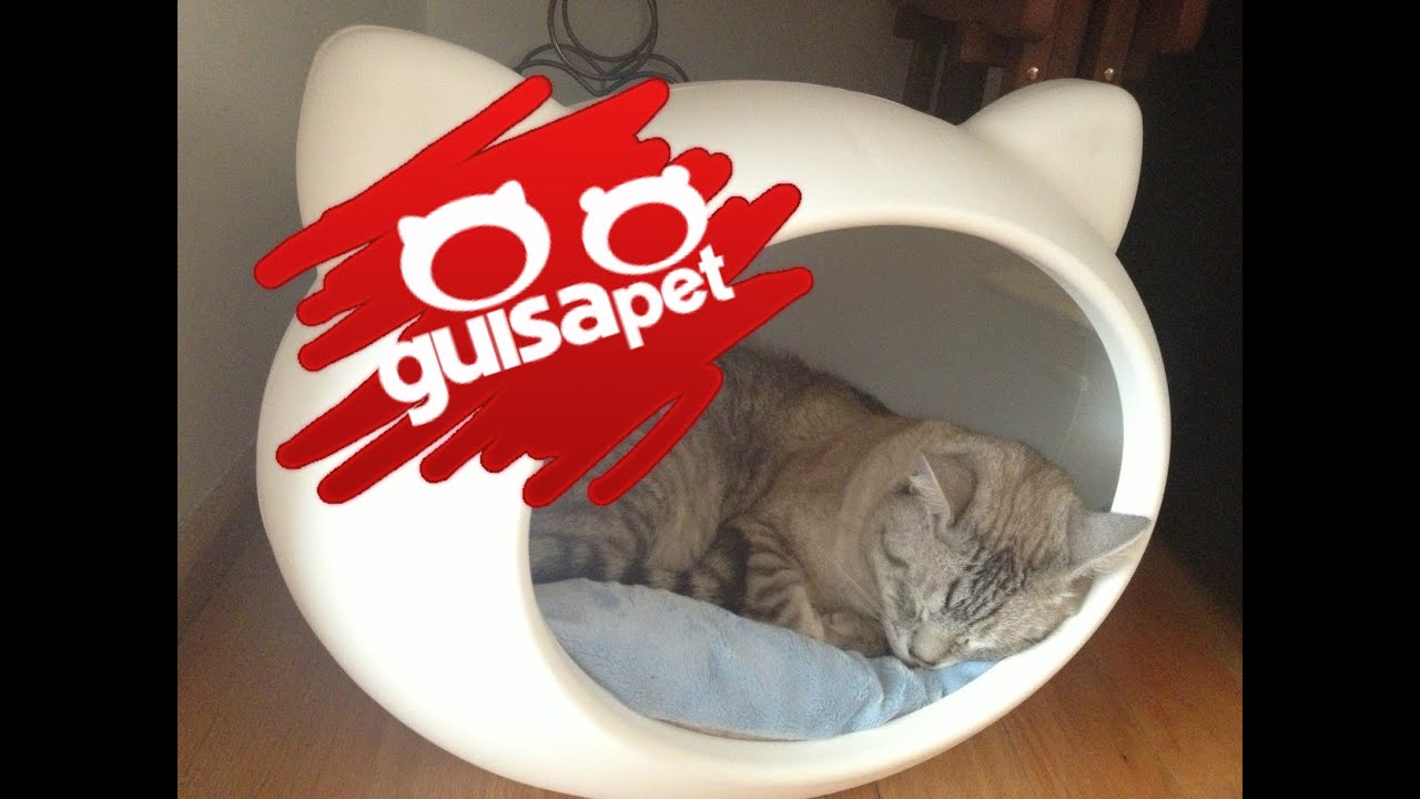 guisapet cat bed