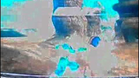 DragonBall Raging Blast 2 - Super Saiyan Vegeta vs Android 19