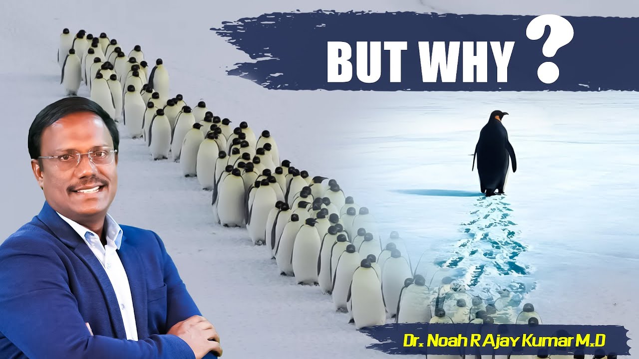 But Why ? పెంగ్విన్ ఒంటరి నడక 