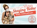 Day in The Life: Coronavirus Staying Home with Chihuahuas VLOG