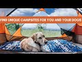 Find Unique Places to Camp (pet friendly, budget friendly, remote)