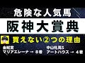 #1301【危険な人気馬 阪神大賞典 2023】ボルドグフーシュなど人気上位3頭の血統と前走の考察 買えない2つの理由 にしちゃんねる 馬Tube