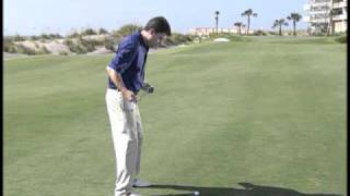 Tips Plus: Tiger Woods (Oct. 2010)