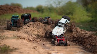 Rc Rock Crawlers Vs Mud  Offroad Rc Cars