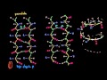 Introducción a la estructura de las proteínas | Macromoléculas | Biología | Khan Academy en Español