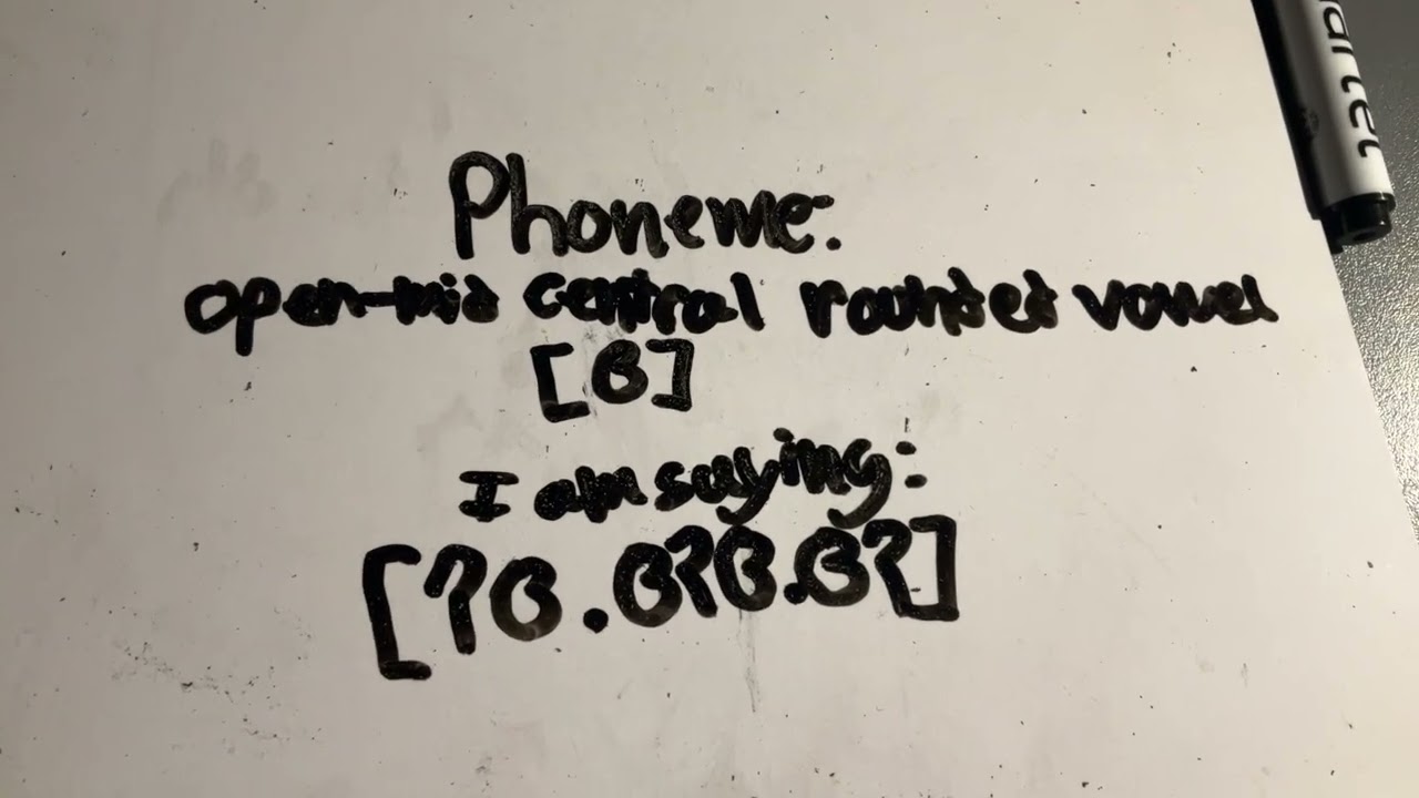 [ɞ] open-mid central rounded vowel