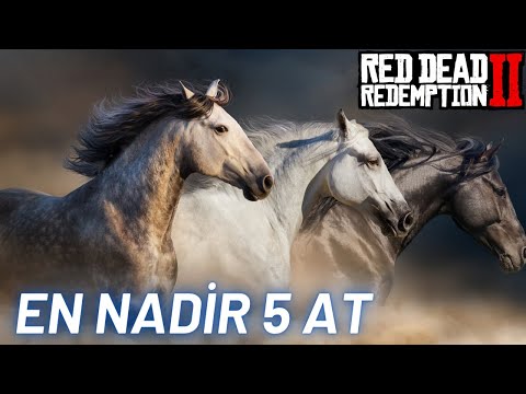 EN NADİR 5 At Sırasıyla Red Dead Redemption 2