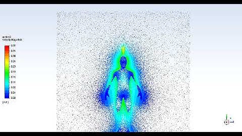 Velocity vectors, CFD simulation (RANS, steady-state) of the heat generated by a standing subject