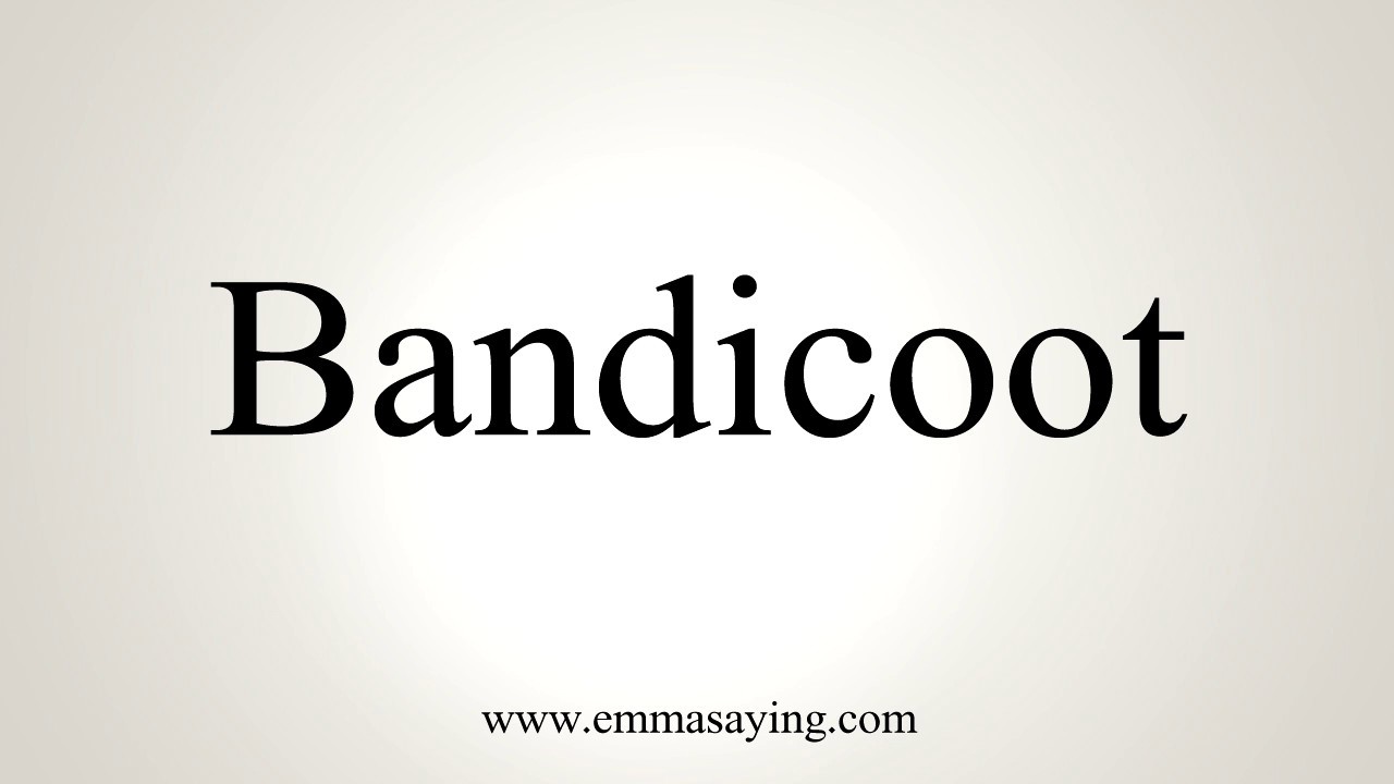 How To Pronounce Bandicoot