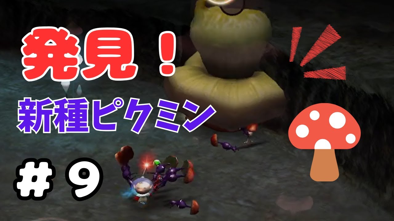 爆弾探しで1日終わる！？新たなボスのとの戦い！【ピクミン1】#9