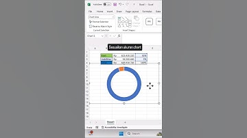 Tutorial buat doughnut chart yang lebih menarik di excel #excelwithnugie #excelchart #exceltips