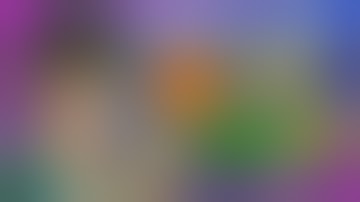 𝗟𝗲𝗴𝗮𝗹 𝗛𝗲𝗿𝗯𝘀 𝗳𝗼𝗿 𝗦𝗺𝗼𝗸𝗶𝗻𝗴! 🍃 Cannabis Alternatives & Herbal Remedies!