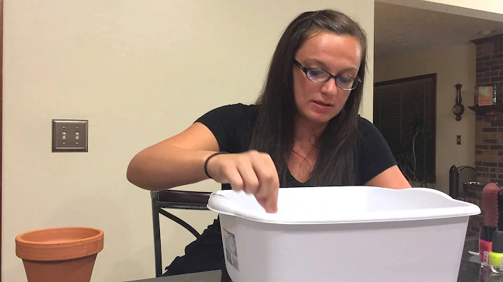 Kelsey Ogden Video Blog 1