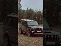 paisaa #trending #viral