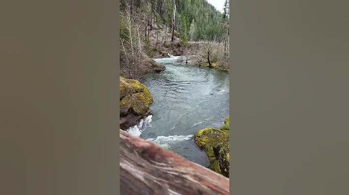 River ecosystem #nature #riverbed #shorts - DayDayNews