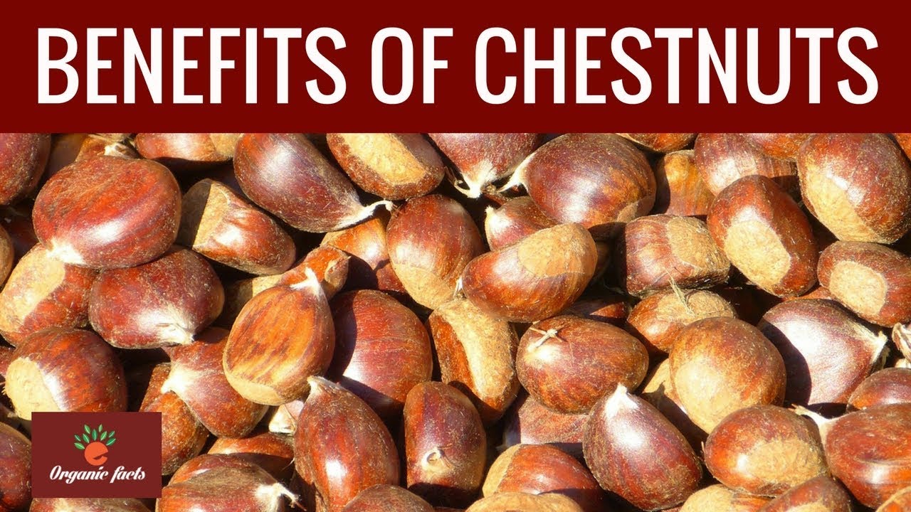 Amazing Health Benefits Of Chestnuts Nutrition Facts About Chestnuts