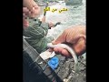 صدمة الصيد تعلق سمك البوري من بطنه بالسنارة لحظة نادرة بالفيخة