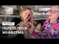 Близько 1,5 тисячі перепелиних яєць за місяць: жителька Новгорода-Сіверського створила мініферму