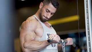 IFBB PRO Shahin Daneshgari Shoulders and Arms Classic Workout