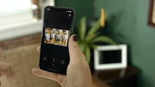 Aura Carver Smart Digital Picture Frame 10.1 Inch HD WiFi Cloud Digital Frame link in discription 👇 screenshot 4