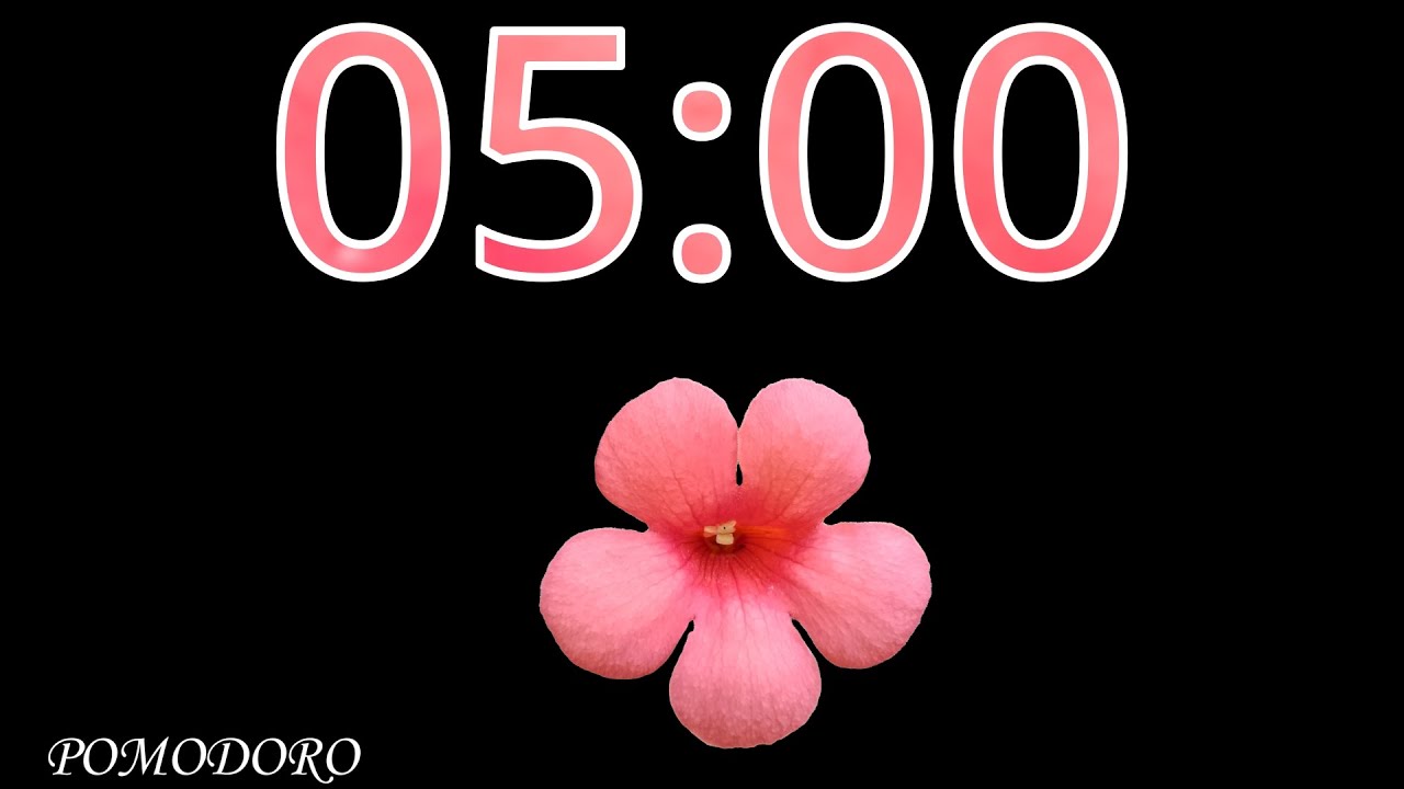 5 Minute Timer with Music - Study - Work - Deep Focus - Countdown Timer ...