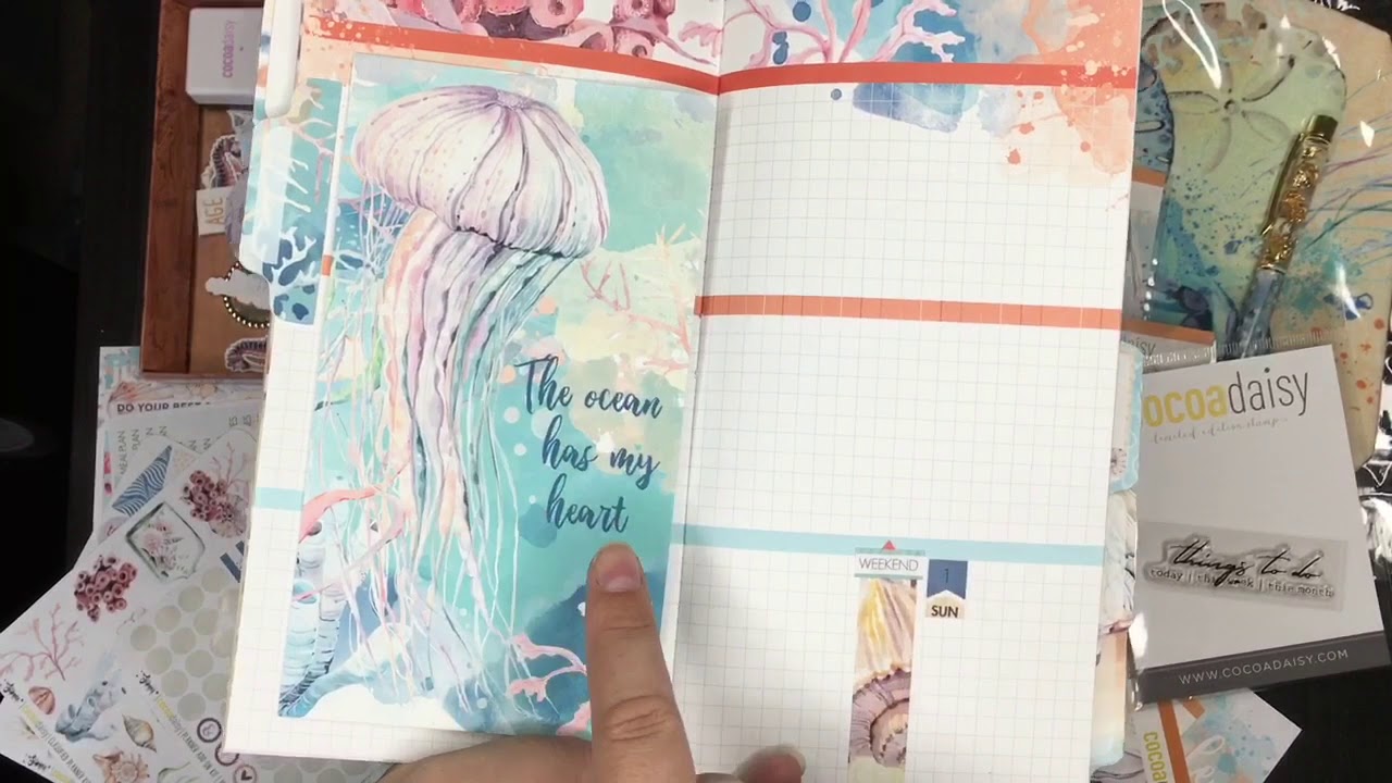 July Daisy Dori Set Up Flip Through