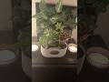 I 3D Printed a Self-Watering Plant Pot 🪴