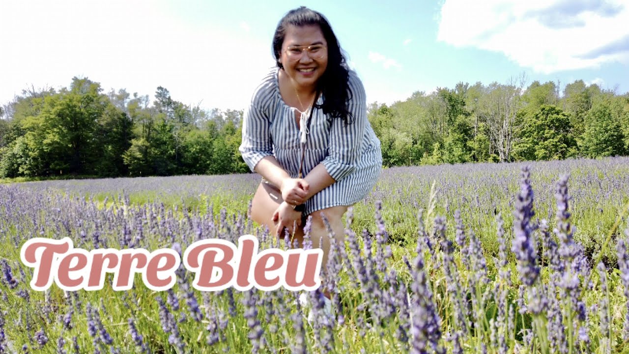TERRE BLEU Lavender Farm 2021 | Daryl and Jacque