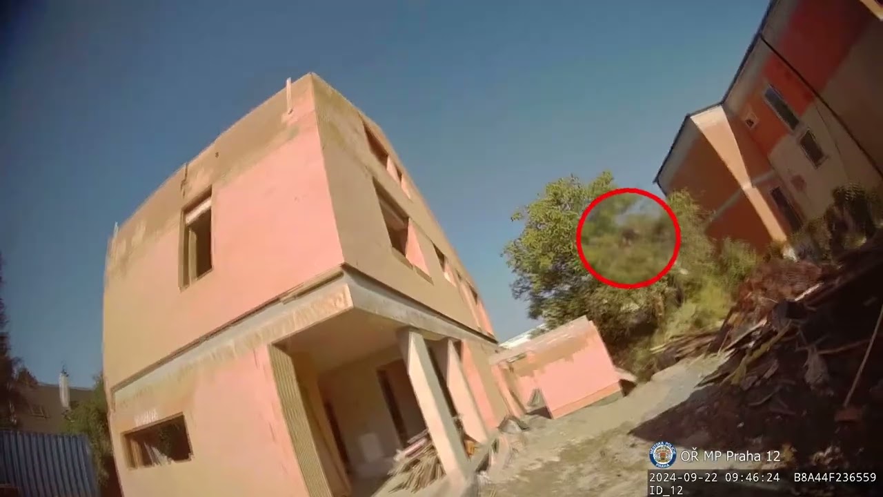 MUŽ TRPÍCÍ HALUCINACEMI VYLEZL V PRAZE NA STROM