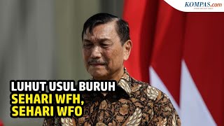 Luhut Minta Jam Kerja Buruh Diatur, Sehari WFH dan Sehari WFO