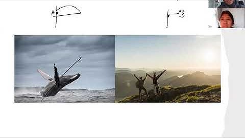 Developmental Biology: French Flag Model