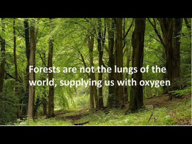 The greatest environmental myth of all; that forests are the ‘lungs of the world’