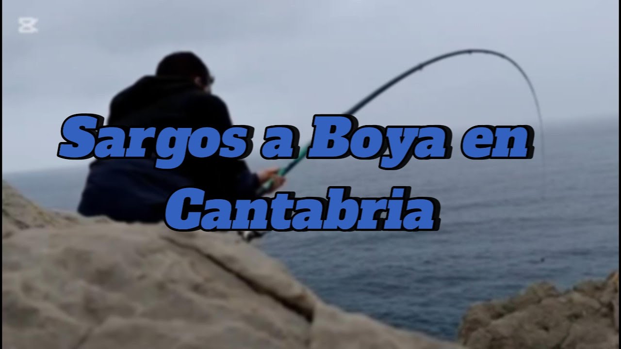 SARGOS a Boya en Cantabria