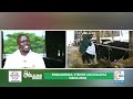 Yiino Endiisa N Ensula Y Ente Ekuwa Amagoba Abagikozesa Bagamba Tebajula ObulimiNobulunzi Yiino Endiisa N Ensula Y Ente Ekuwa Amagoba Abagikozesa Bagamba Tebajula ObulimiNobulunzi