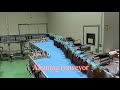 13  Aligning conveyor の動画、YouTube動画。