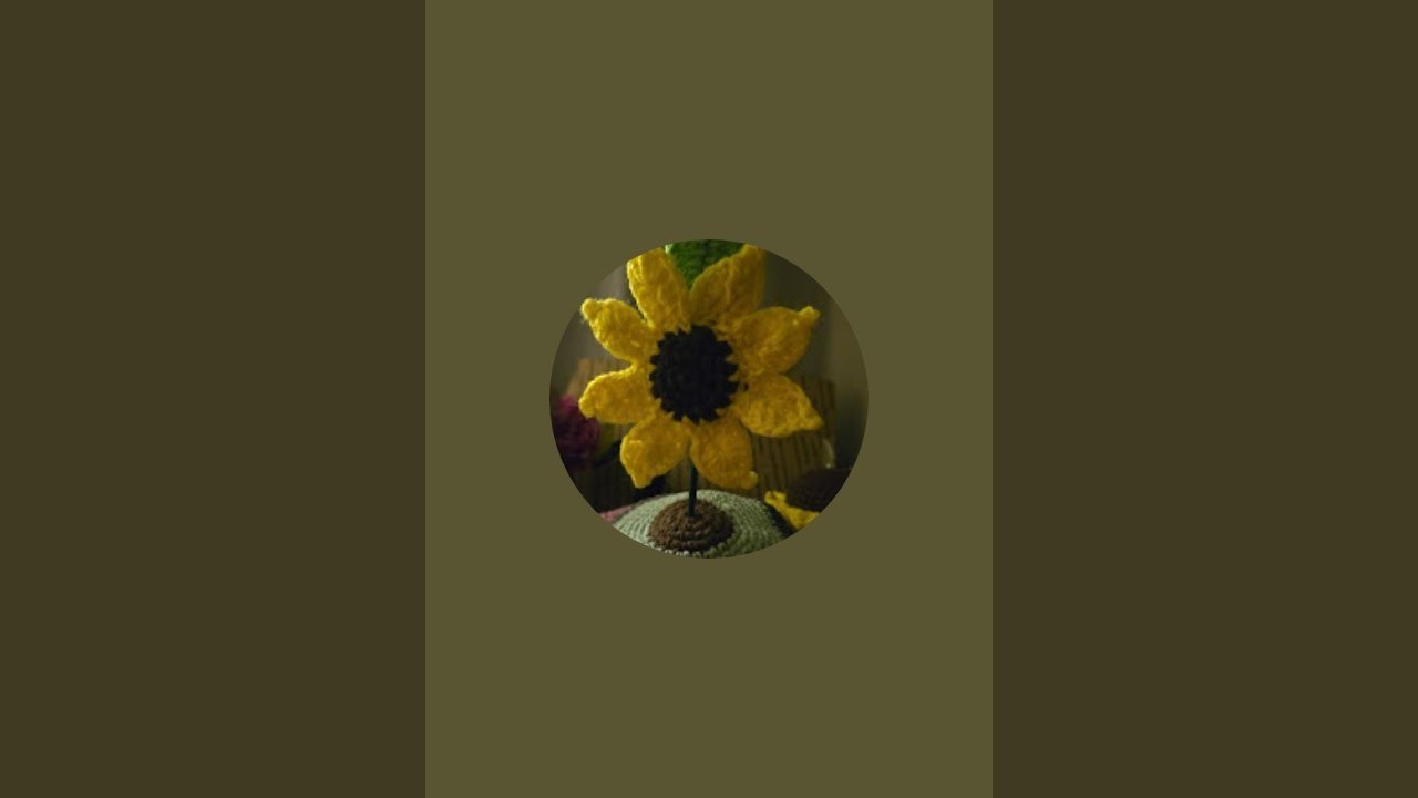 PalomaCrochetArte está en vivo