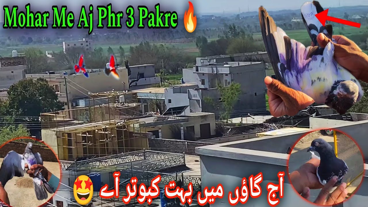 Tournament Me Ure Mohar Wala Bacha Pakra 🔥 رامپوری اور دو بچے پکڑے 😍