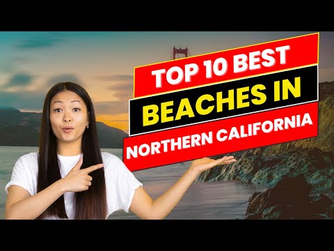 Top 10 Best Beaches in Northern California in 2024