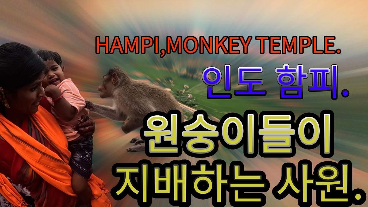 🇮🇳#08 인도 함피, 원숭이들이 지배하는 사원/Hampi, The Temple Ruled by Monkeys