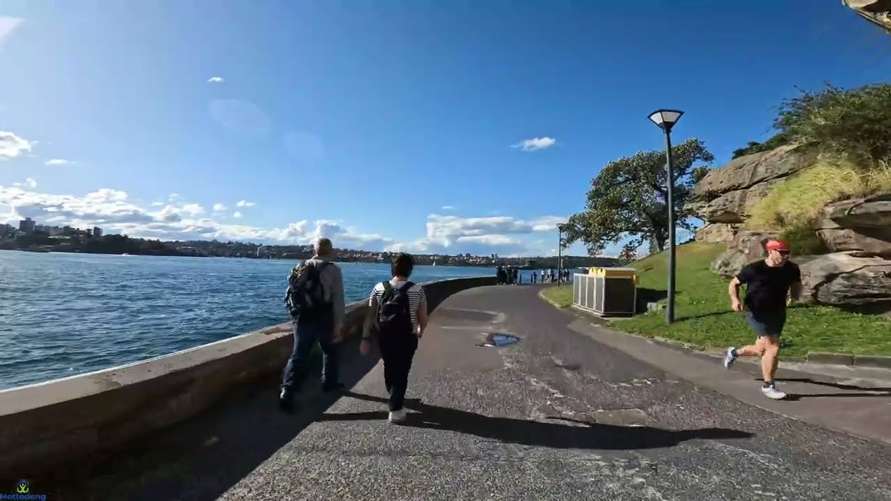 Walking from Botanic Garden to Mrs Macquarie Point| Sydney CBD | Sydney Australia | Sydney Walking