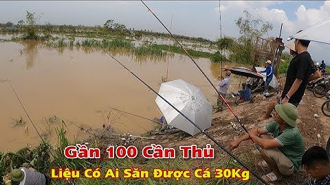 Câu Cá Mùa Mưa Lũ Ngày Thứ 2 Ven Bờ Đê, Dân Làng Lại Trúng Đậm Báo Cá Lăng Gần 10 Kg Liên Tục
